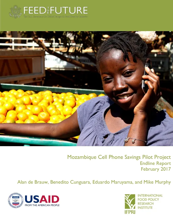Mozambique cell phone savings pilot project endline report