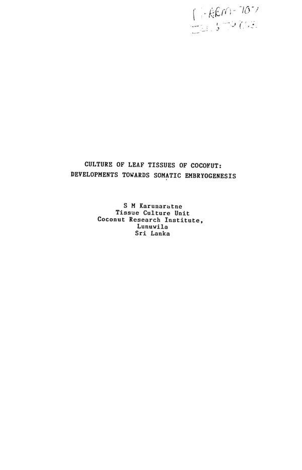 Culture of leaf explants of coconut : developments towards somatic embryogenesis