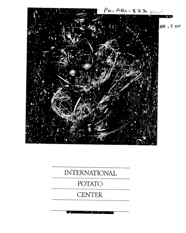 International Potato Center