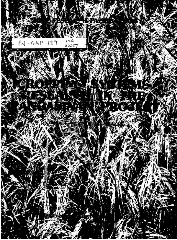 Cropping systems research in the Pangasinan project