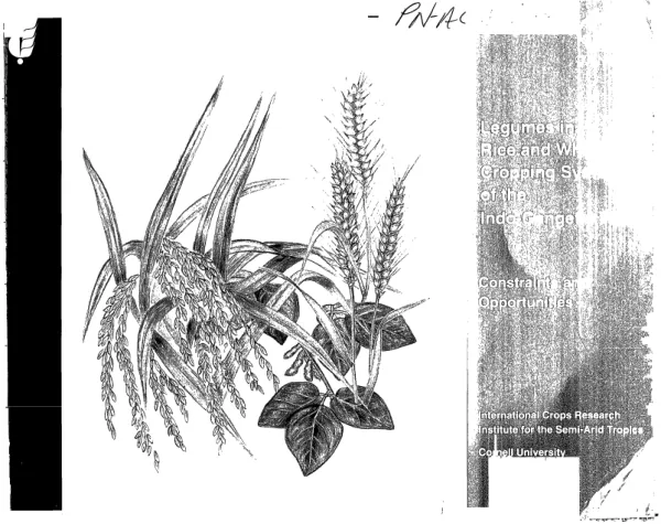 Legumes in rice and wheat cropping systems of the Indo-Gangetic Plain : constraints and opportunities