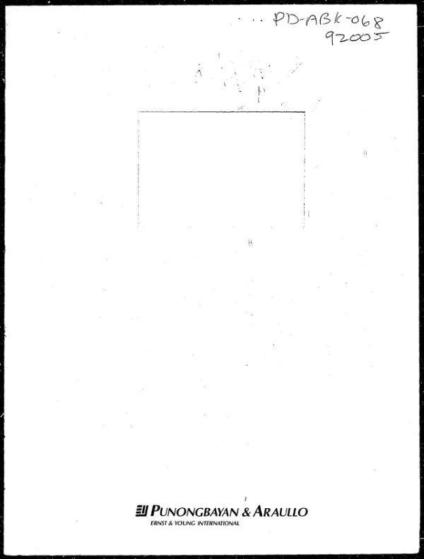 Local government infrastructure fund project : project financial plan -- final report