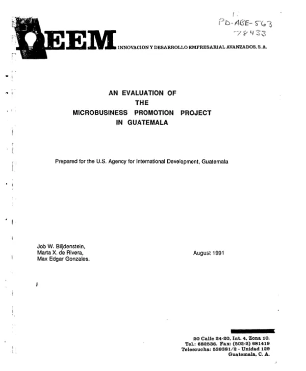 Evaluation of the microbusiness promotion project in Guatemala