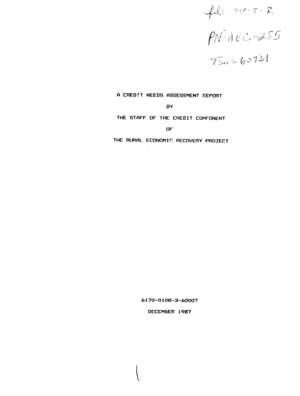 Credit needs assessment report