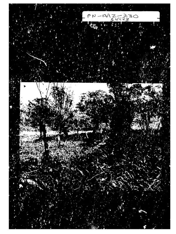 Land and tree tenure in humid West Africa : a bibliography