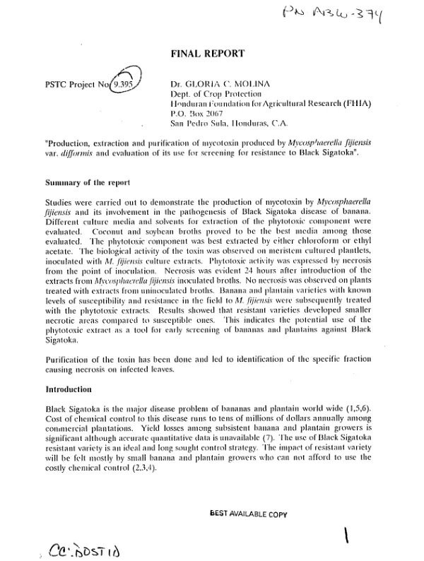 Final report : production, extraction and purification of mycotoxin produced by Mycosphaerella fijiensis var. difformis and evaluation of its use for screening for resistance to Black Sigatoka