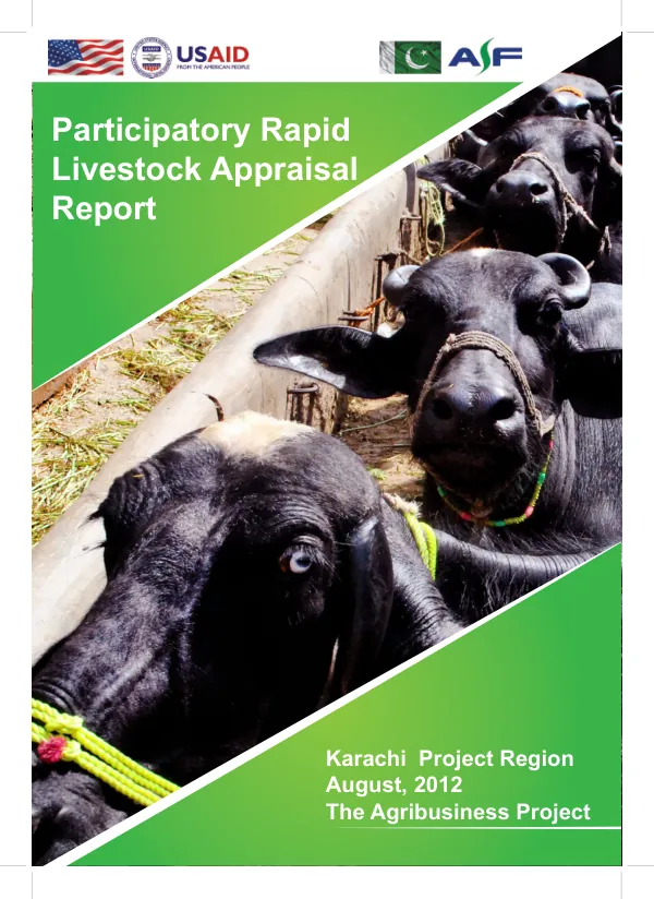 Participatory Rapid Livestock Appraisal for Karachi