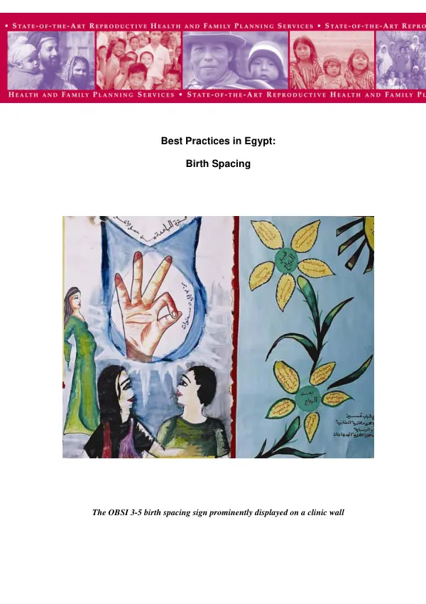 Best practices in Egypt : birth spacing