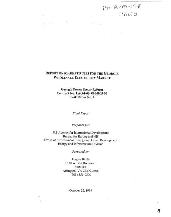 Report on market rules for the Georgia wholesale electricity market