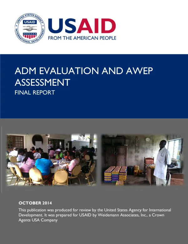 African diaspora marketplace program evaluation and African women entrepreneur program assessment : final report