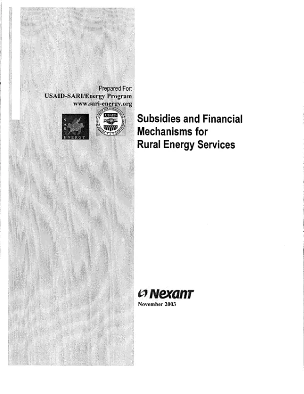 Subsidies and financial mechanisms for rural energy services