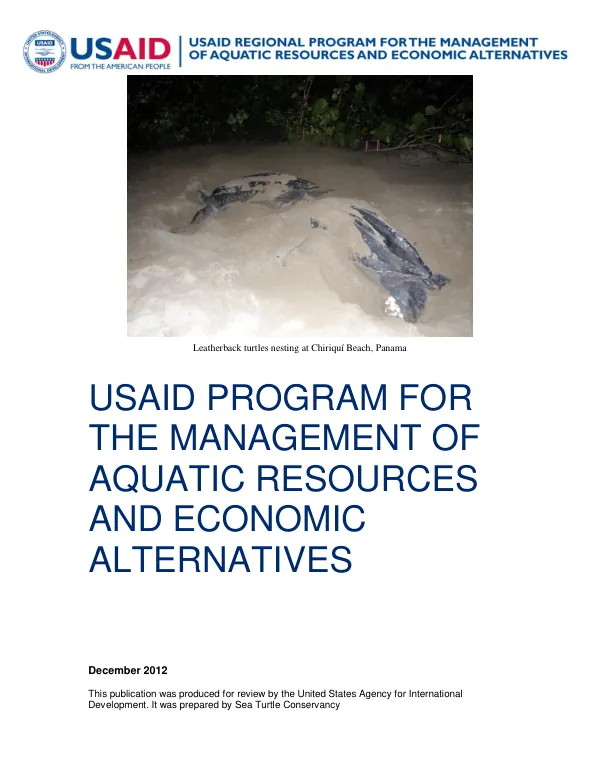 Sea Turtle Protection Final Report