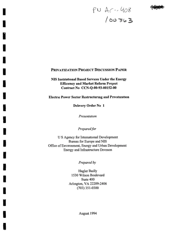 Privatization project discussion paper