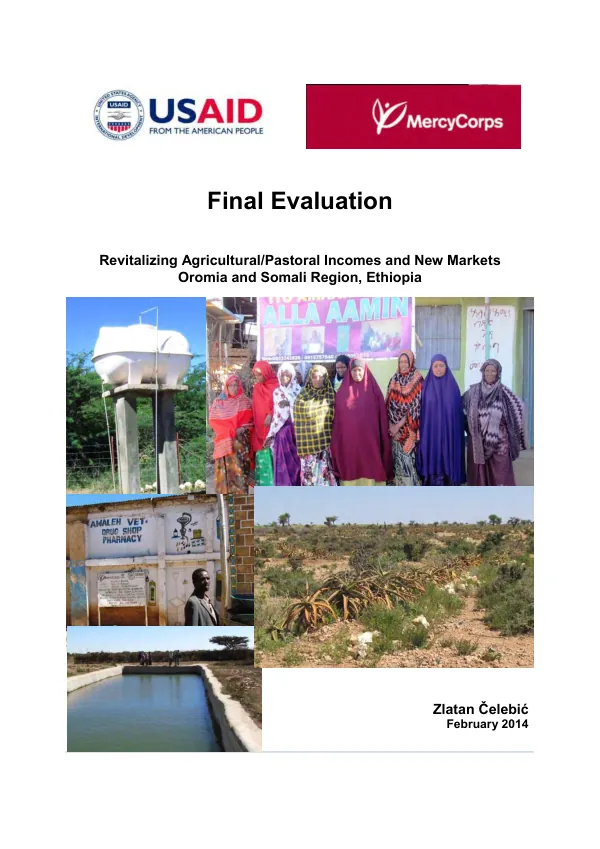 Revitalizing agricultural/pastoral incomes and new markets, Oromia and Somali Region, Ethiopia : final evaluation