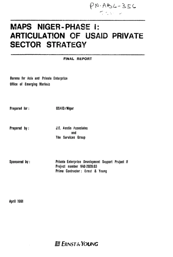 MAPS Niger - phase I : articulation of USAID private sector strategy