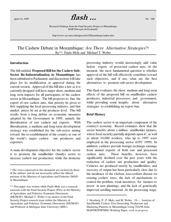 The cashew debate in Mozambique : are there alternative strategies?