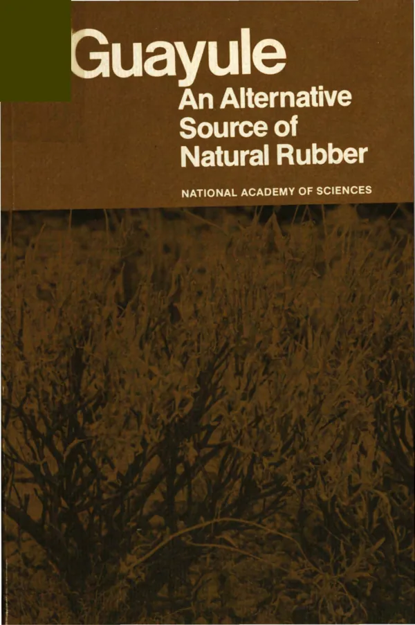 Guayule : an alternative source of natural rubber