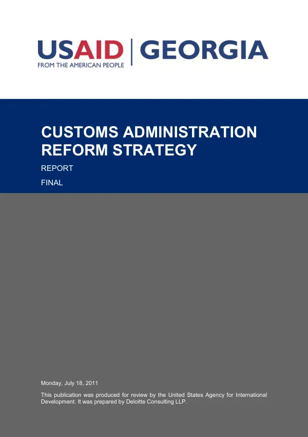 Customs administration reform strategy : report