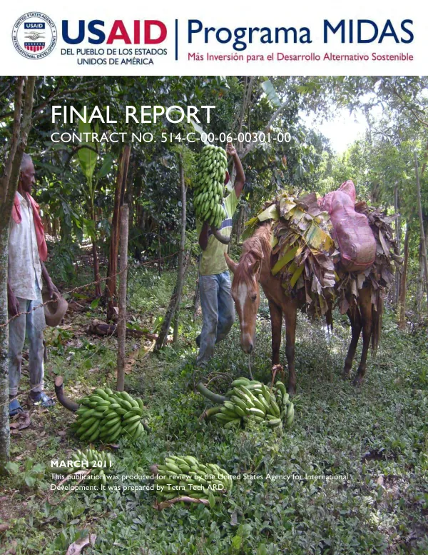 Mas inversion para el desarrollo alternativo sostenible : final report
