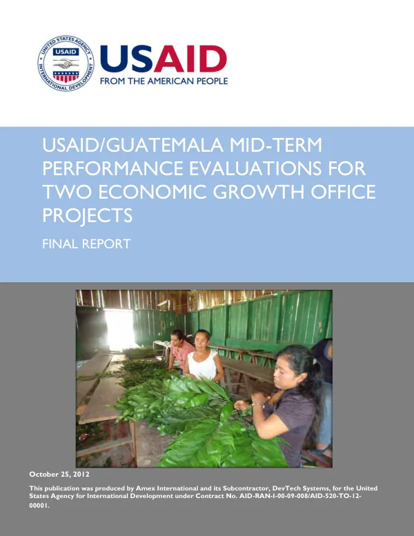 Mid-term performance evaluations for two Economic Growth Office projects : final report