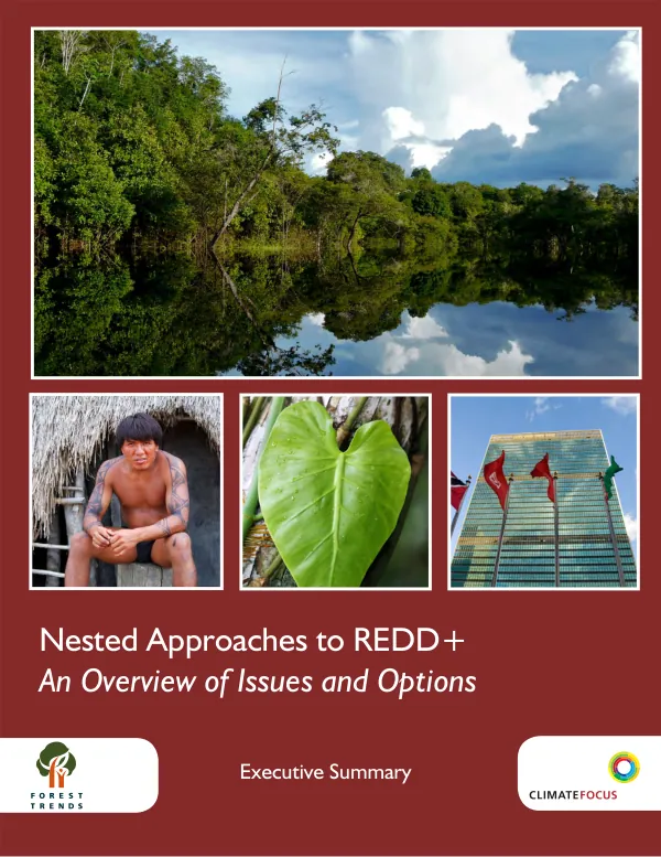 Evaluation of the Jamaica adolescent reproductive health activity 2000-2007