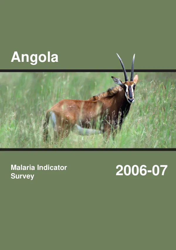 Angola malaria indicator survey 2006-07