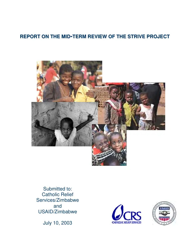 Report on the mid-term review of the STRIVE project