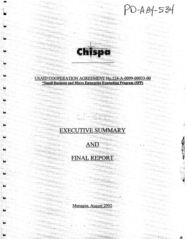 Small business and micro enterprise expanding program (SPP) : executive summary and final report