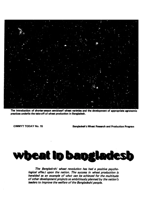 Wheat in Bangladesh