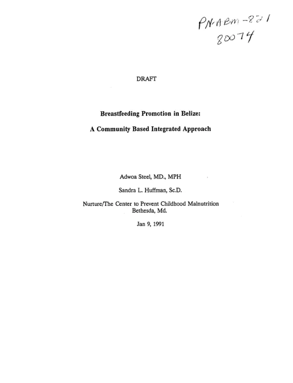 Breastfeeding promotion in Belize : a community based integrated approach