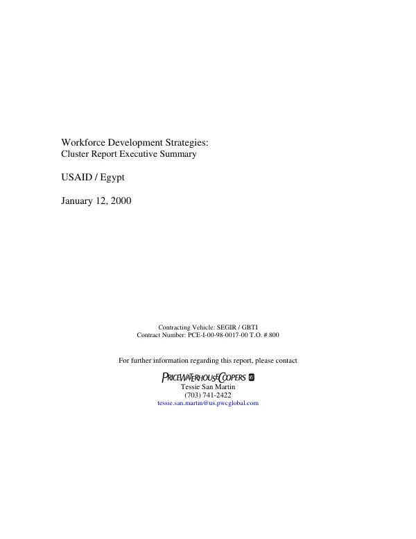 Workforce development strategies : cluster report executive summary