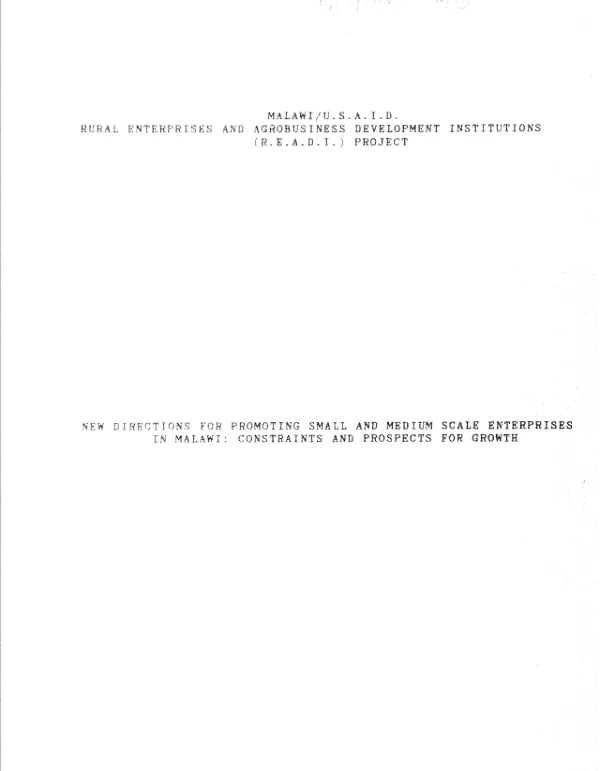 New directions for promoting small and medium scale enterprises in Malawi : constraints and prospects for growth