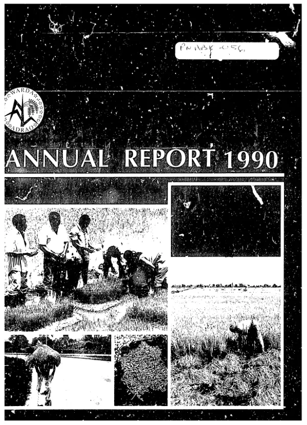 WARDA [West Africa Rice Development Association] annual report 1990
