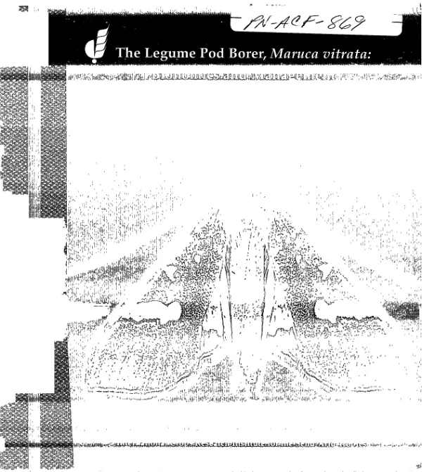 Legume pod borer, Maruca vitrata : bionomics and management