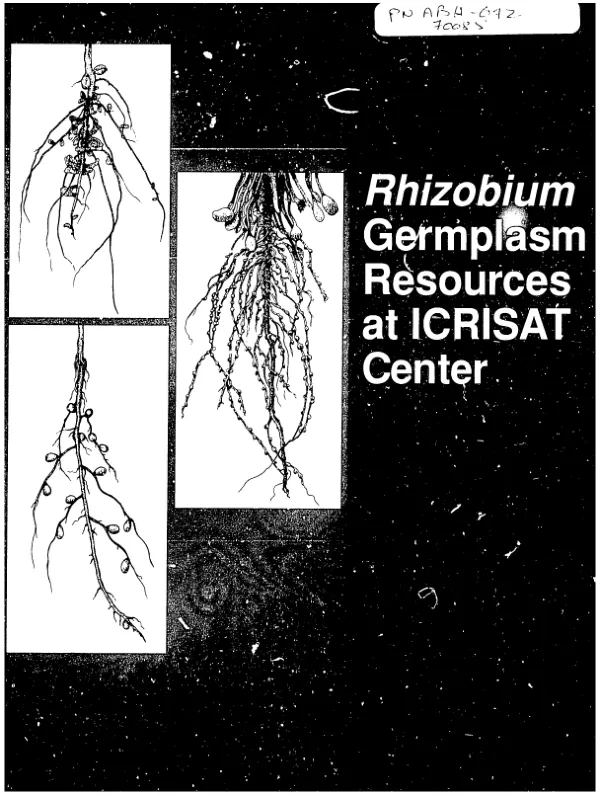 Rhizobium germplasm resources at ICRISAT Center