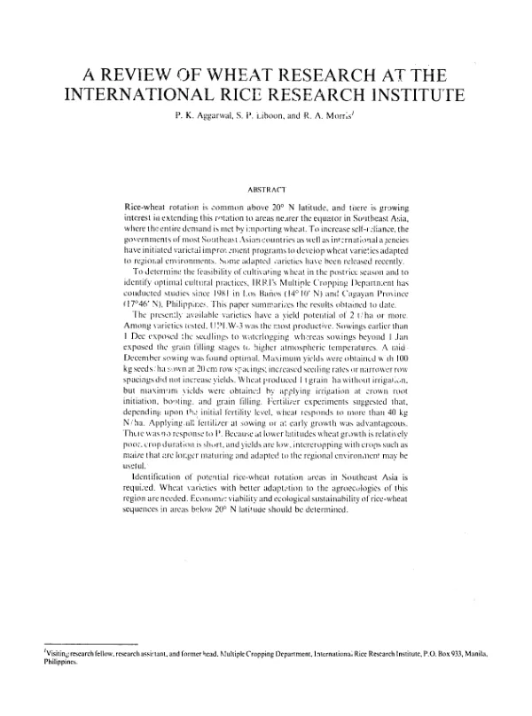 Review of wheat research at the International Rice Research Institute
