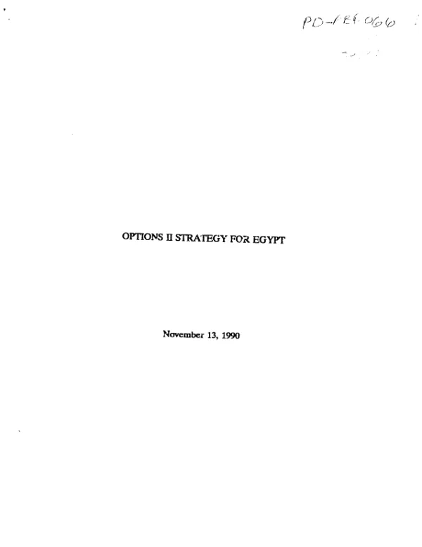 Options II strategy for Egypt
