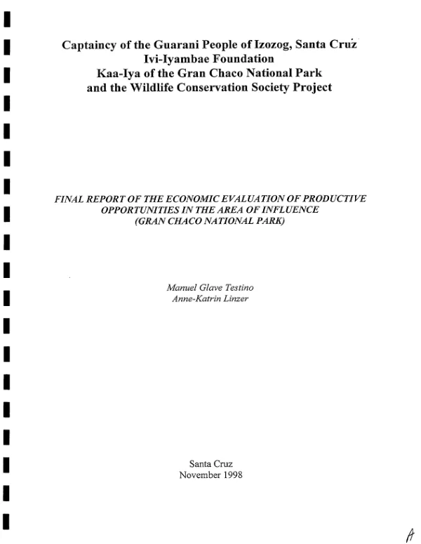 Final report of the economic evaluation of productive opportunities in the area of influence (Gran Chaco National Park)
