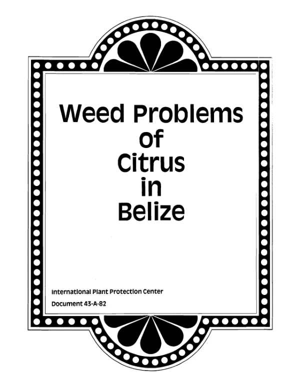 Weed problems of citrus in Belize