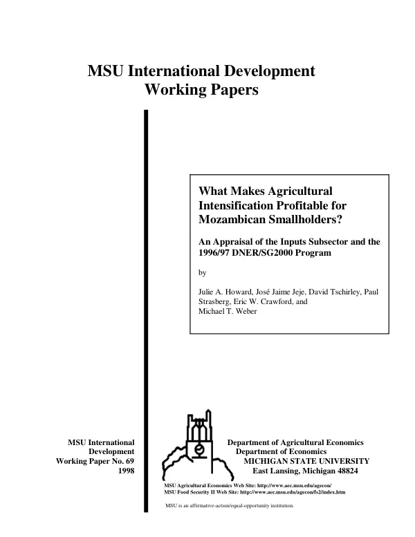 What makes agricultural intensification profitable for Mozambican smallholders? : an appraisal of the inputs subsector and the 1996/97 DNER/SG2000 program