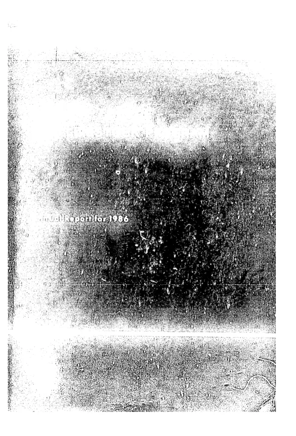 Water and sanitation for health project : 1991 annual work plan
