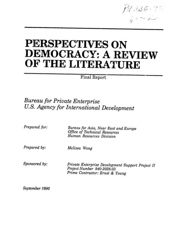 Perspectives on democracy : a review of the literature