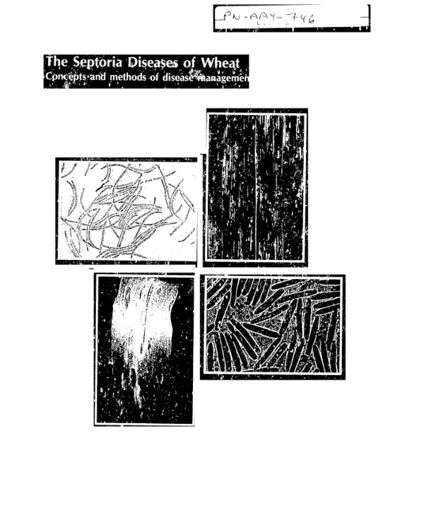 Septoria diseases of wheat : concepts and methods of disease management