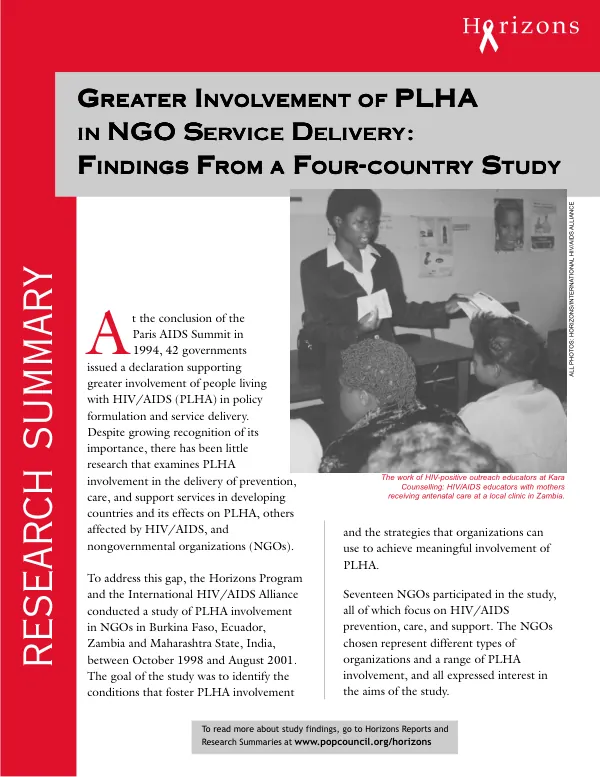 More on the cost-benefit analysis of electricity projects