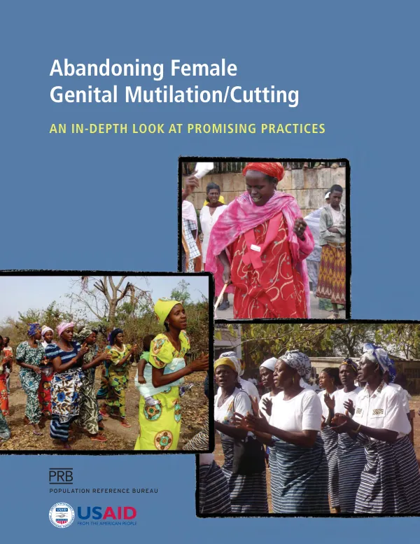 Abandoning female genital mutilation/cutting : an in-depth look at promising practices