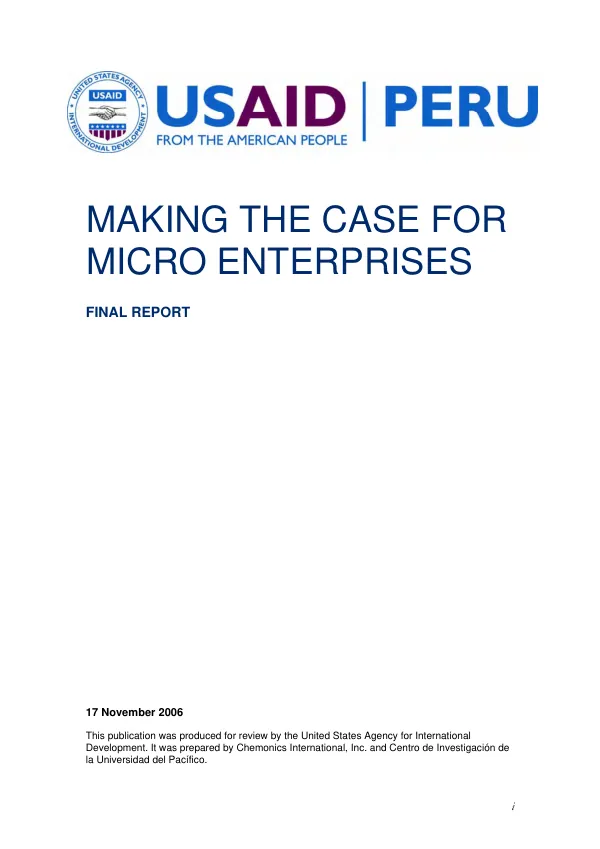 Making the case for micro enterprises : final report