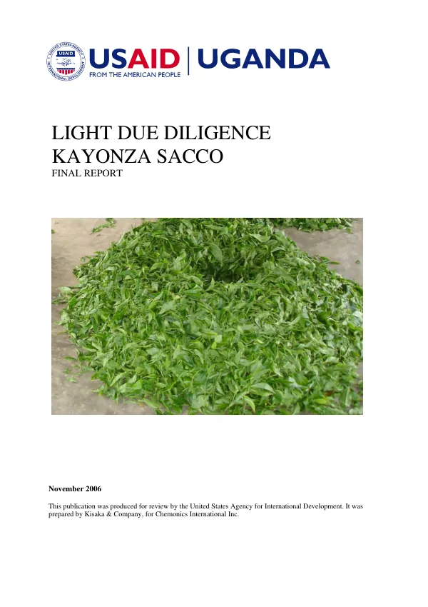 Light due diligence, Kayonza SACCO : final report