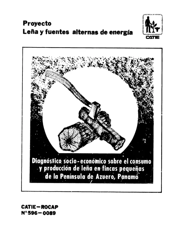 Diagnostico socio-economico sobre el consumo y produccion de lena en fincas pequenas de la peninsula de Azuero, Panama