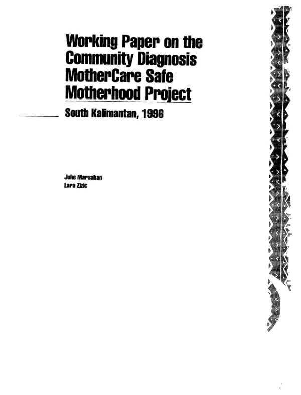 Working paper on the community diagnosis MotherCare safe motherhood project : South Kalimantan 1996