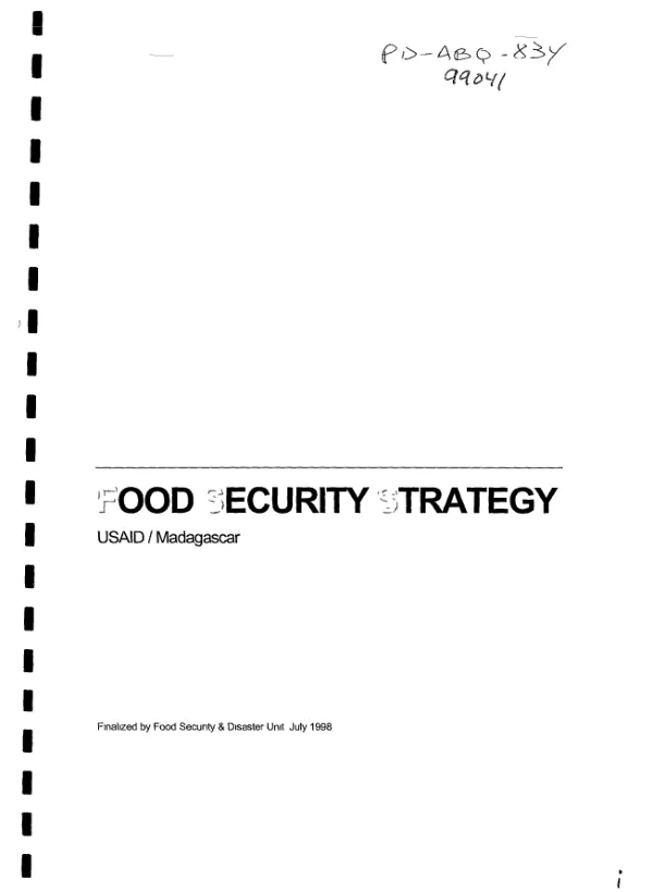 Food security strategy : USAID/Madagascar